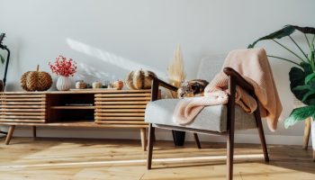 Modern Fall Decor Fresh Takes On Classic Autumn Styles