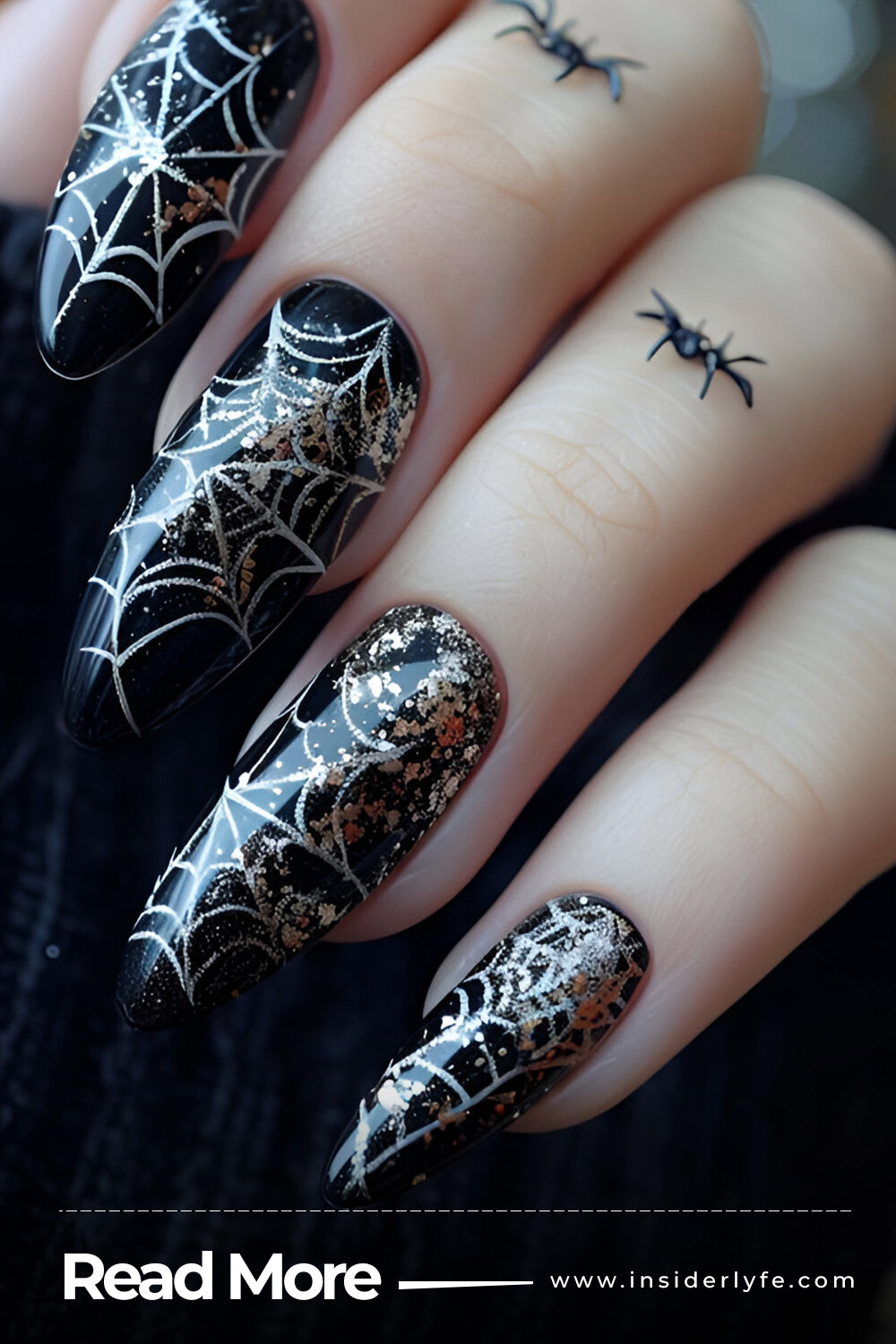 Spider Web Wonders