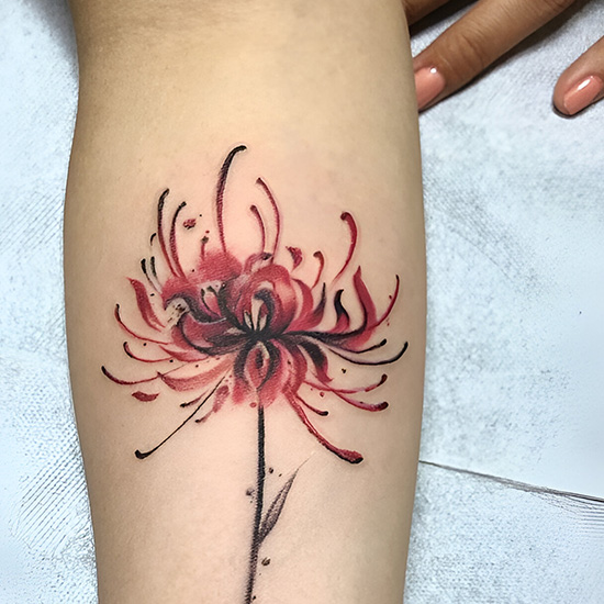 Black and Gray Realistic Spider Lily