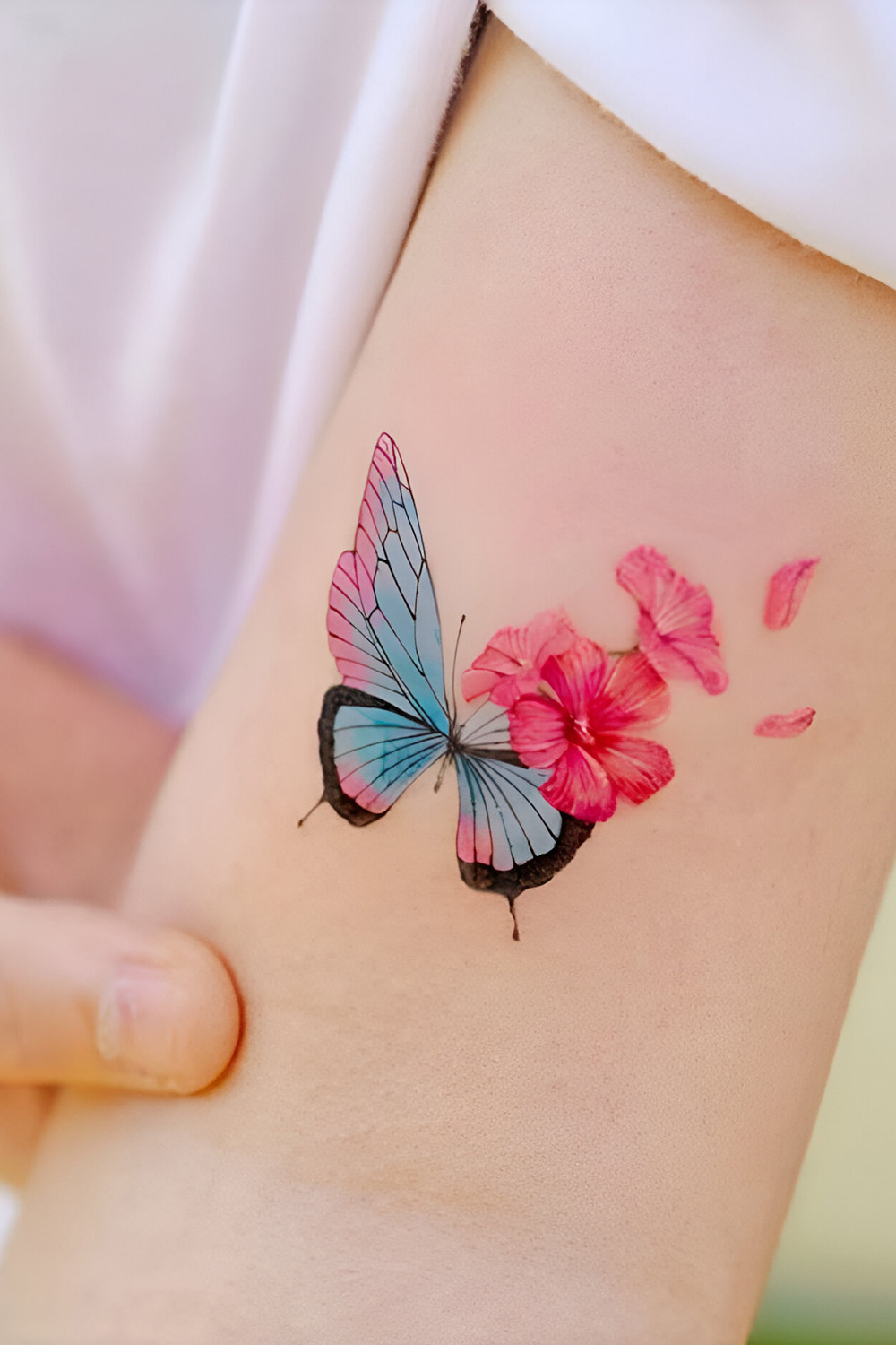 Butterfly and Hibiscus
