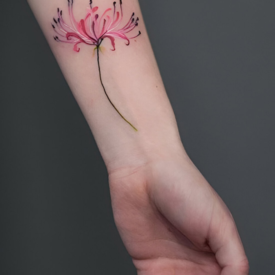 Fine Line Spider Lily on the Wrist
