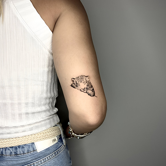 Smaller Turkey Outline