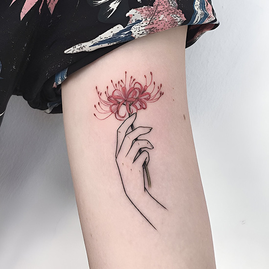 Spider Lily Paired With the Lotus Flower