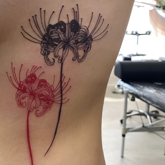 Spider Lily and Moon Phases