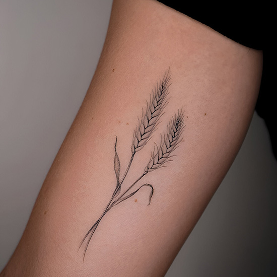 Wheat Stem Symbol