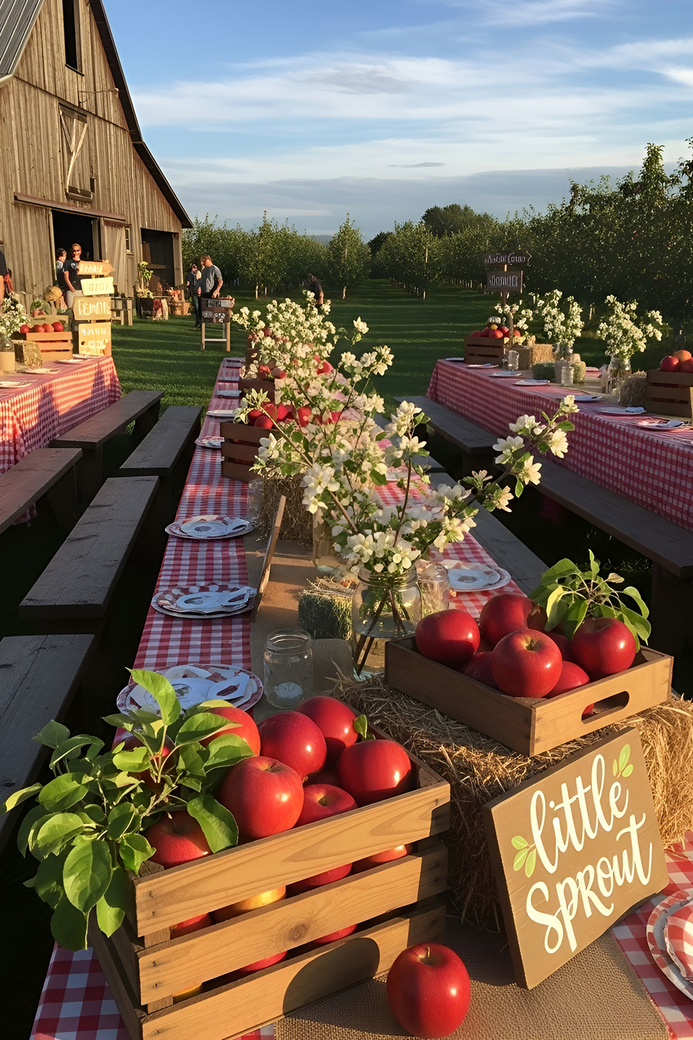 Apple Blossom Orchard Gathering
