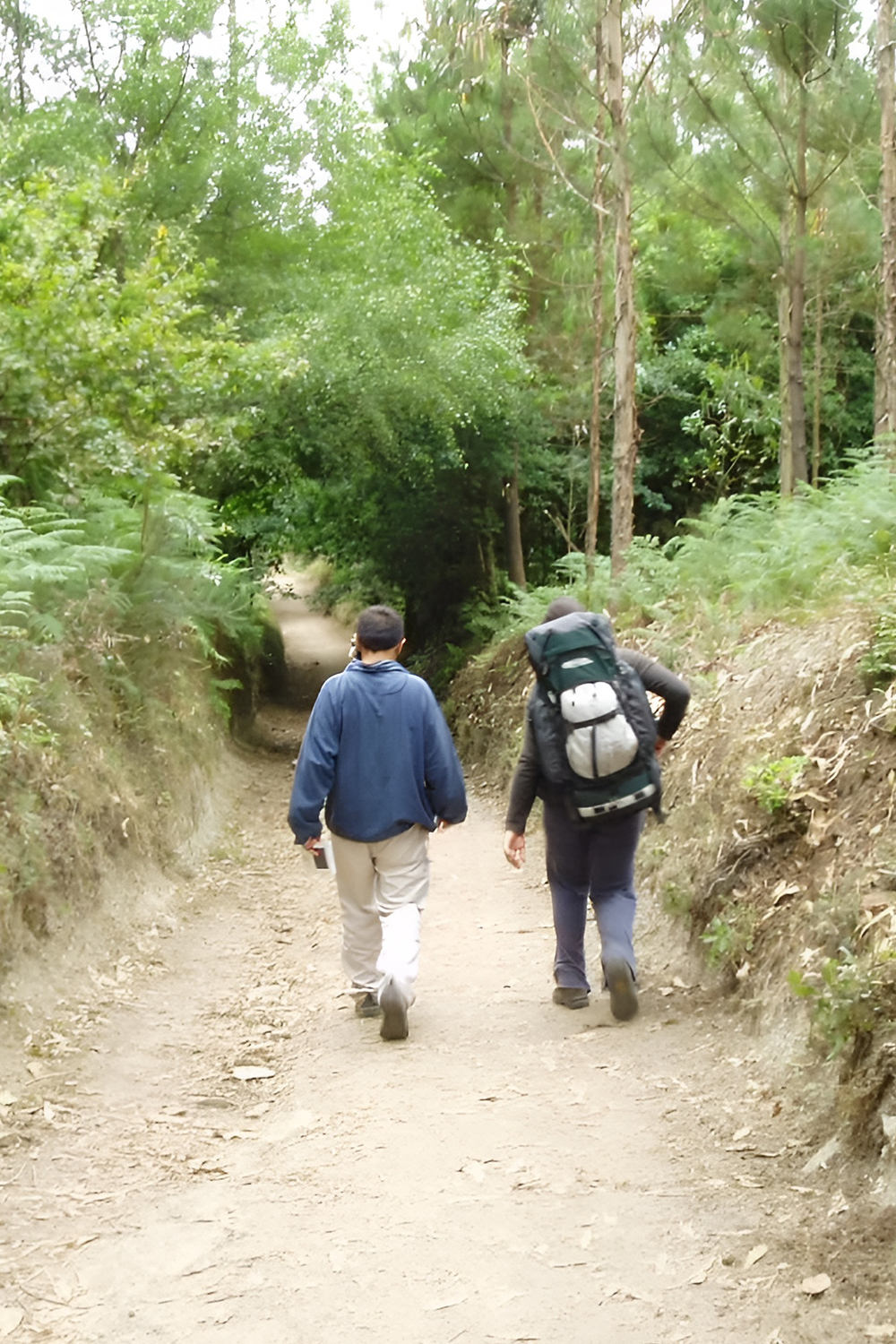 A Morning or Evening Walk